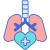 RESPIRATORY DISORDERS v01 min